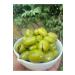Rioba Filter Coffee Origin Brazil Bean Filter Coffee - Buy Online on GoSupps.com