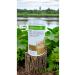 Herbalife Nutritious Natural and Rich Content Hazelnut Flavor 500 gr 1 Piece