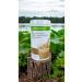 Herbalife Nutritious Natural and Rich Content Hazelnut Flavor 500 gr 1 Piece - Buy Online on GoSupps.com