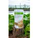 Herbalife Nutritious Natural and Rich Content Hazelnut Flavor 500 gr 1 Piece - Buy Online on GoSupps.com
