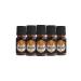 R hnfried Budgie Parrot Heater Set (With Table) (GLASS BOTTLE WITH LEAK-PROOF LID - DIVISION FROM ORIGINAL)
