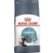 Salep - Buy Online on GoSupps.com