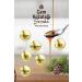 Bee Garden Pine Cone Syrup 500 ml - Buy Online on GoSupps.com