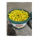 CERENAY Peppered olives - pepper stuffed olives 10 kg - Buy Online on GoSupps.com