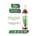 Kimbo Barista Armonia 100% Arabica Nespresso Compatible Capsule Coffee (Box of 10) (10 Boxes) - Buy Online on GoSupps.com