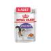Royal Canin Sterilized Jelly Pouch Neutered Cat Wet Food 6pcs X 85g - Buy Online on GoSupps.com
