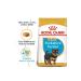 Royal Canin Dog Bhn Yorkshire Terrier Junior Dog Food 1.5 Kg