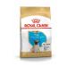 Royal Canin Pug Breed Junior Puppy Food 1.5 kg - Buy Online on GoSupps.com