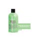 Caudalie V NOPURE ANTI-ACNE PORE CONCEALER REVIVAL SERUM-30ML PASS .1787 - Buy Online on GoSupps.com