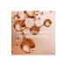Caudalie BRIGHTENING-SHINE BEAUTY ELIZOR 30 ML DEMBA4050 - Buy Online on GoSupps.com