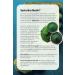 AH SULTAN Form Coffee 8 Different Coffee and Spirulina Content 100 G - Buy Online on GoSupps.com