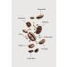 AH SULTAN Form Coffee 8 Different Coffee and Spirulina Content 100 G - Buy Online on GoSupps.com