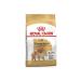 Hill's SCIENCE PLAN Chicken Small and Mini Breed Puppy Food 1.5 Kg - Buy Online on GoSupps.com