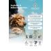 Royal Canin Mini Adult Small Breed Dog Food 2 Kg - Buy Online on GoSupps.com