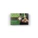 DOREE BEAUTE Detox Quinoa Mix Slimming Helper Herbal Tea Set of 3