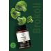 FITFEEL Appetizing Milkshake - Buy Online on GoSupps.com