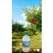 Lipton Eastern Black Sea Bulk Black Tea 1000 gr x 3 Pieces + Balk p Cube Sugar 1000 gr