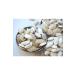CAPPADOCIA Pure Pasteurized Oatmeal 5 Kg - Buy Online on GoSupps.com