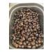 I am a plant Organic Coconut Milk Powder 120 Gr - Buy Online on GoSupps.com