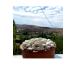 Come From The Village Dry Beans 1kg
