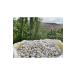 Come From The Village Dry Beans 1kg - Buy Online on GoSupps.com