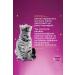 Whiskas Chicken 85 Gr 24X