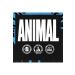 Animal Universal Animal Creatine Monohydrate 300gr - Buy Online on GoSupps.com