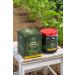 Probien Probiotic 30 Capsules - Buy Online on GoSupps.com