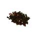 Liforia Freeze Dried Whole Mixed Fruit - Buy Online on GoSupps.com