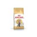 Royal Canin British Shorthair Cat Food 10 Kg