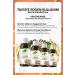 Gokcek Healing Anise Supercritical Mix Oil 100 ml (ANISE SUPERCRITICAL MIX OIL) - Buy Online on GoSupps.com