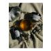 Bufu Tea Ba Mudan White Tea 40 Gr. - Buy Online on GoSupps.com