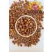 TREND FOOD 100 G Healthy Snack Without Added Sugar Moringa Psyllium (CARNIYARIK HERB SEED) Black Mulberry
