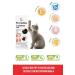 Hearty 12 Pack Einkorn Flour Cookies 60g Sugar-free Additive-free Healthy Snack for Kids - Buy Online on GoSupps.com