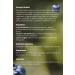 Jestea Detox 1 Month Capsule Herbal Content Lcarnitine Containing Detox Tablet - Buy Online on GoSupps.com