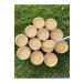 Kg Dried Food Tahini (2 Kg) - Buy Online on GoSupps.com