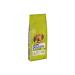  evizciyiz Raw Pumpkin Seeds (UNROASTED AND UNSALTED) Weight 500gr. - Buy Online on GoSupps.com