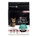 Royal Canin Dog Bhn Poodle Junior Dog Food 3 Kg - Buy Online on GoSupps.com
