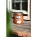 Reflex Plus Salmon 1.5 Kg Sterilized Adult Cat Food - Buy Online on GoSupps.com