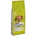 Royal Canin Cocker Adult 3 Kg - Buy Online on GoSupps.com