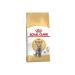 ABU FA HERBAL FORMEN EP3MEDIUM Hardener G3 enhancer Penis Enlarger Sexual Power Paste (1 PIECE)