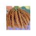 BEYORGANIK Organic Bey Purple Mix 260gr