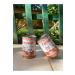 Carnaval Premium Adult Cat Canned Food with Salmon 400 gr X 12 Pieces - Buy Online on GoSupps.com
