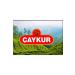 Carnaval Premium Adult Cat Canned Food with Salmon 400 gr X 12 Pieces - Buy Online on GoSupps.com