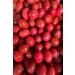 DUMAN GURME Breakfast Beetroot Kalamata Olives 140-160 Klb 5 Kg - Buy Online on GoSupps.com