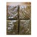 gemizlerakvaryum Cat Dry Food Mixed 3 Kg - Buy Online on GoSupps.com