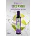 FUNBODY S7 APRICOT FLAVORED DETOX WATER 500ML 1 PIECE