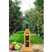 Hanzade Herbal Apple Cider Vinegar With Sandarac Gum 500 ml (SE-520410) - Buy Online on GoSupps.com