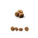 Happy Dog Fit & Vital Mini Adult 4 Kg - Buy Online on GoSupps.com