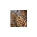 irfan legumes Village Product Local Kidney Beans 2 Kg - Buy Online on GoSupps.com